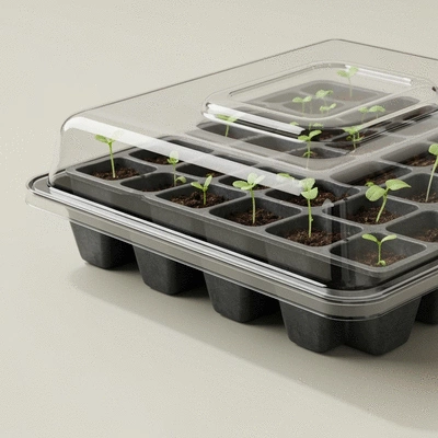 Close-up view of a seed starting tray showing individual cells, drainage holes, and a clear humidity dome