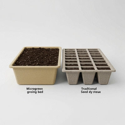 Microgreen trays and traditional seed trays side-by-side, highlighting differences in depth and drainage
