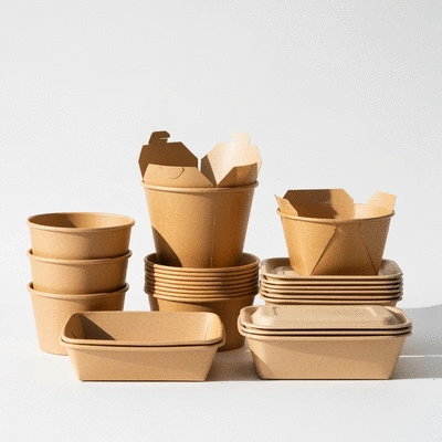 Assortment of eco-friendly takeaway containers made from paper, sugarcane, and bamboo