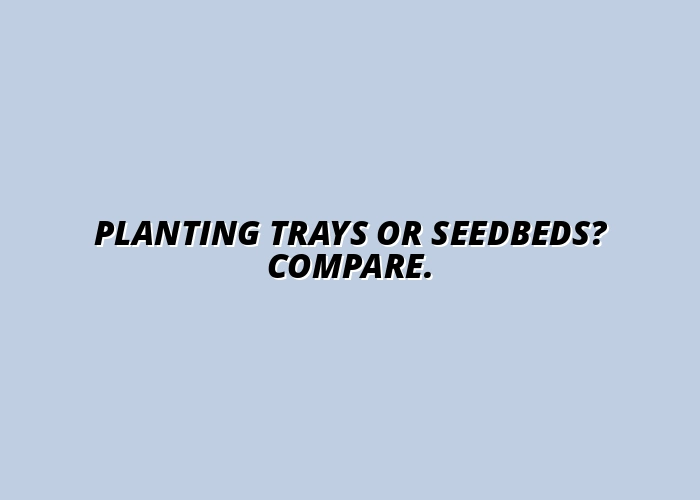 Planting Trays vs. Traditional Seedbeds: Pros and Cons